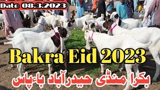 2023 Kei Bakre in Bakra Mandi Hyderabad Latest Market Rates Update Date 08/3/2023