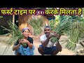 मूंगा और केला काट के लेकर आया। Basan Family Vlogs