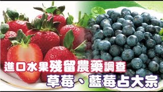 【藍莓染毒1】超級食物卻也「超級毒」！　邊境查驗農藥頻超標 | 蘋果新聞網