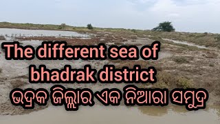 Bhadrak sea beach(ଭଦ୍ରକ ଜିଲ୍ଲାର ନିଆରା ସମୁଦ୍ର)