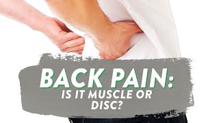 How do you know if back pain is muscle or disc?