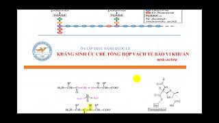 THỰC HÀNH DƯỢC LÝ (KHÁNG SINH)