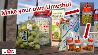 Learn how to make Umeshu (Japanese plum wine) with special Honey Umeshu! | unik oddities