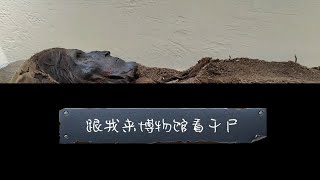 vlog.006新疆最恐怖景点前三，乌鲁木齐干尸，快上车！！！