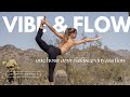 Vibe and Flow Ladder Vinyasa | 1 Hour Yoga Class | Baby Crow and Side Crow Arm Balances