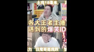 盘点六大王者主播改名时遇到的爆笑ID，一个比一个逆天【凤煌解说王者荣耀】