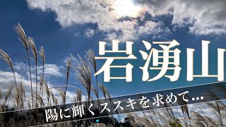 【岩湧山】秋はすすき見♪陽に輝くようなすすきを求めて…。だが、帰りのバスはエグかった@@