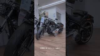 バイク王のハーレー専門店「Beat\u0026C京都八幡店」