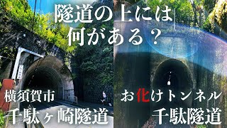 【隧道の上】横須賀市「千駄ヶ崎隧道」「お化けトンネル千駄隧道」の上には何がある？ 猫ちゃん＆蛇を探せ！おまけ付き《高画質設定推奨》