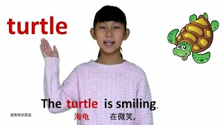 动物篇turtle海龟 牛津初高中小学少儿童英语单词和例句子 常荣