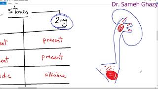 systemic pathology 53 : Urinary system 7  ( urinary stones )حصوات الجهاز البولي  DR. SAMEH GHAZY