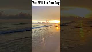 You Will Die One Day #islam #sunnah #dunya #allah #deen #quran #hadith #prophetmuhammad  #fard #haqq