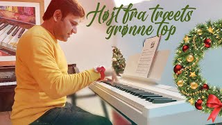 Højt fra træets grønne top ||Traditional Denmark Carol || Christmas Piano Carol 2022 #DenmakPakistan