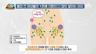 지방이 좋아하는 Y존?! 여성의 Y존에 지방이 더 많이 쌓이는 이유는? | 나는 몸신이다 280 회