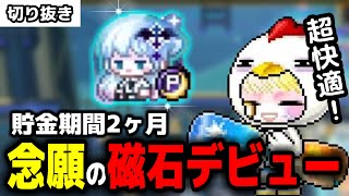 【メイプルストーリー】2ヶ月貯金の末磁石ペットを入手したりゅうき！【切り抜き】