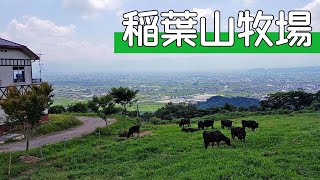 富山・田川にある富山平野を一望できる牧場【稲葉山牧場】