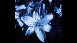 sleepwalking- voi (2 hour loop)