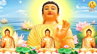 Positive Energy Buddha Meditation Music - Buddhist Music, Zen Music, Yoga Music, Stress Relief