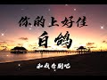 你的上好佳 白鸽 「无损音质」