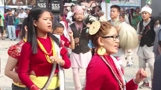 Sakela Sili ( Ubhauli ) | Bhanu chowk, Dharan | 2074