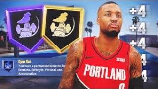 HOW TO GET GYM RAT BADGE IN 1 DAY IN NBA 2K21