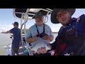 Flathead Catch & Cook In Noosa Ft The Hook & The Cook! -#MFJ