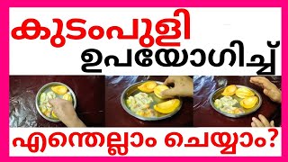 കുടംപുളി ഉപയോഗിച്ച് എന്തെല്ലാം ചെയ്യാം?|KUDAMPULI TIPS