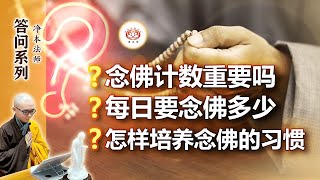 【答问】念佛计数重要吗？ / 每日要念佛多少？ / 怎样培养念佛的习惯？｜净本法师开示