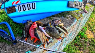 671 Guam 🇬🇺 East Agana Inshore Spearfishing Catch Clean and Cook.   Vitamin Sea Therapy