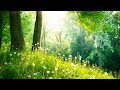 Relaxing Peaceful Instrumental Hymns | Harp, Piano, Strings, & Orchestra