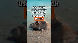 Ancient Conch Shell Communication: Fact or Fiction?