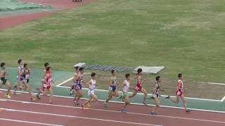 第70回東京都高等学校陸上競技対校選手権大会 第1支部予選会 男子 1500m 予選2組