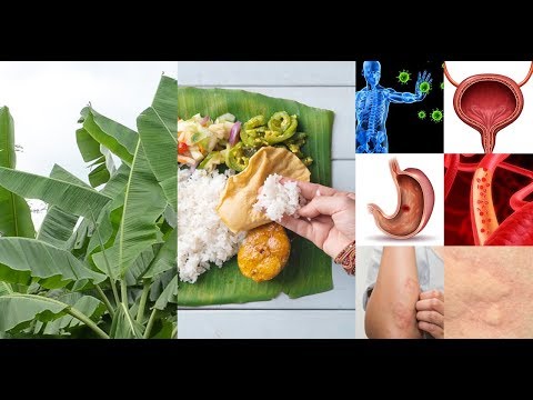 Health Benefits of Eating on a Banana Leaf , It Will Surprise you Health Benefits of Eating on a Banana Leaf , It Will Surprise you