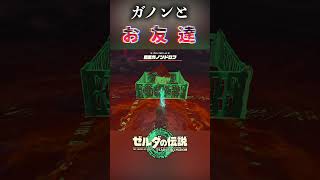 最強ガノンとお友達になる方法知ってた？ #ゼルダの伝説ティアーズオブザキングダム #ティアキン