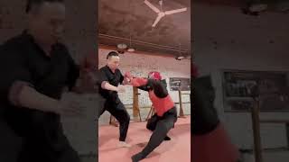 Master Tu Tengyao | Arts of Fighting | Training 2022 #5