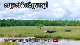 សម្រស់កំពុងស្រឡៅ