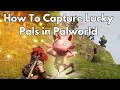 How to Capture Lucky Pals in Palworld - Fly and Listen