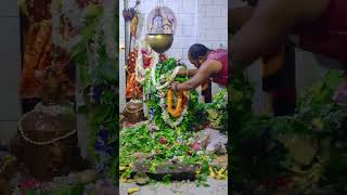 Baba Subarnameru, Sonepur Odisha       #mahadev #omnamahshivaya  #mahadeva #shankar #hindu