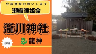 三島の瀧川神社の参道は不思議な存在がたくさんいるよ　消えたり現れたりしてます。  #瀬織津姫#次元上昇#龍神