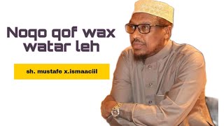 Noqo qof wax tar leh | muxaadaro qiimo badan | sh mustafe xaaji ismaaciil