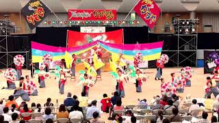 KAWATANA踊り連〜孔雀〜  第17回YOSAKOIかすや祭り