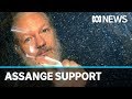 Australian MPs lobby Britain to release Wikileaks founder Julian Assange | ABC News