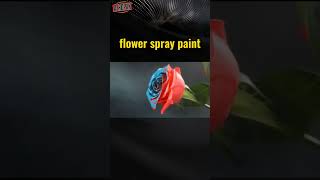 You can use flower spray paint  to change the color of flower and plants, make your works unique.