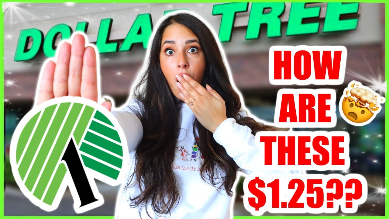 Dollar Tree Finds You'd NEVER Expect to SEE at a Dollar Store 🤯