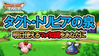 【ドラクエタクト】知っておくと役に立つ！？友達に教えたくなる豆知識とムダ知識をご紹介【タクト・トリビアの泉】