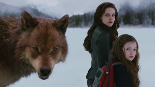 Twilight Saga | Official movie Clips | HD movie clips 2020