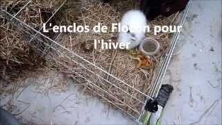 Enclos d'hiver