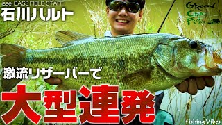 【バス釣り】大型連発！激流・濁流の高山ダムで石川ハルトが魅せる！【fishing Vibes】