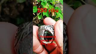 #fypシ゚#batuakik#garut#pancawarna#pancawarnagarut#akik#viral#sorotan#semuaorang#gaya#style#klasik#fyp