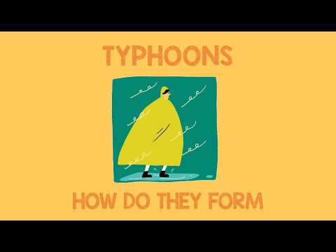 Why are typhoons called typhoons?